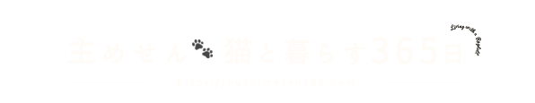 主めせん🐾猫と暮らす365日